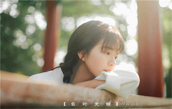 鼎湖胎儿性别鉴定需要多少钱(胎儿性别鉴定的方法)